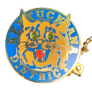 Vintage Kentucky Wildcats Pin Mascot Basketball BBN Retro District 1 80s 90s